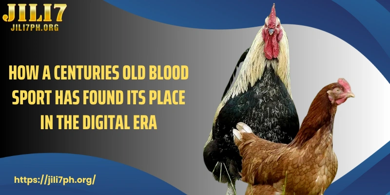 How a centuries old blood sport has found its place in the digital era