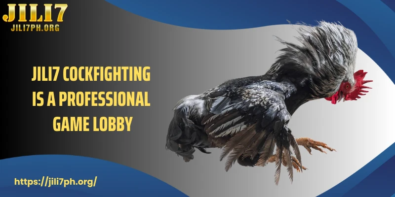 JILI7 cockfighting is a professional game lobby.