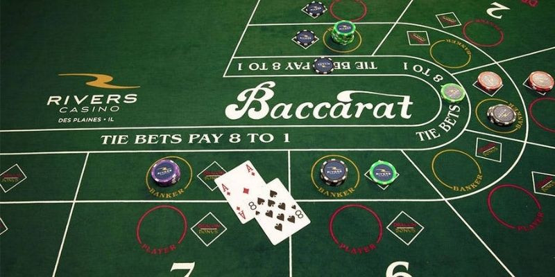 live-casino-betting-Choosing 