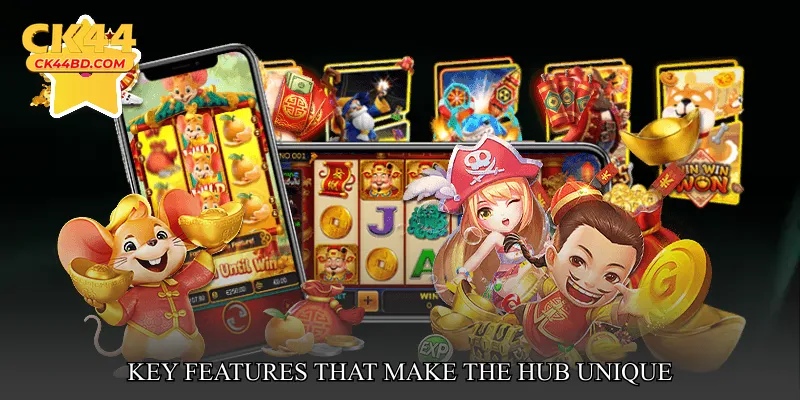 Key Features That Make the Hub Unique