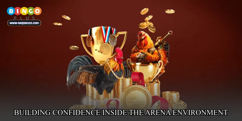 Building confidence inside the arena environment