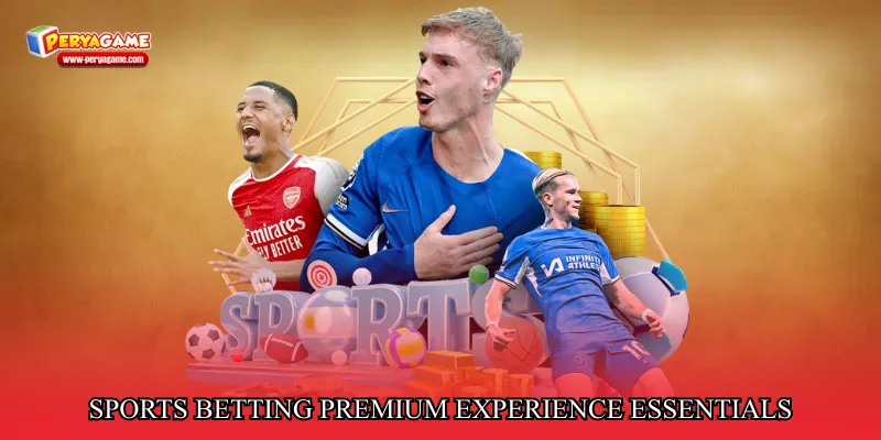 Sports betting premium experience essentials