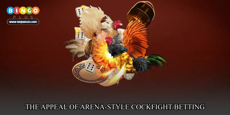 The appeal of arena-style cockfight betting
